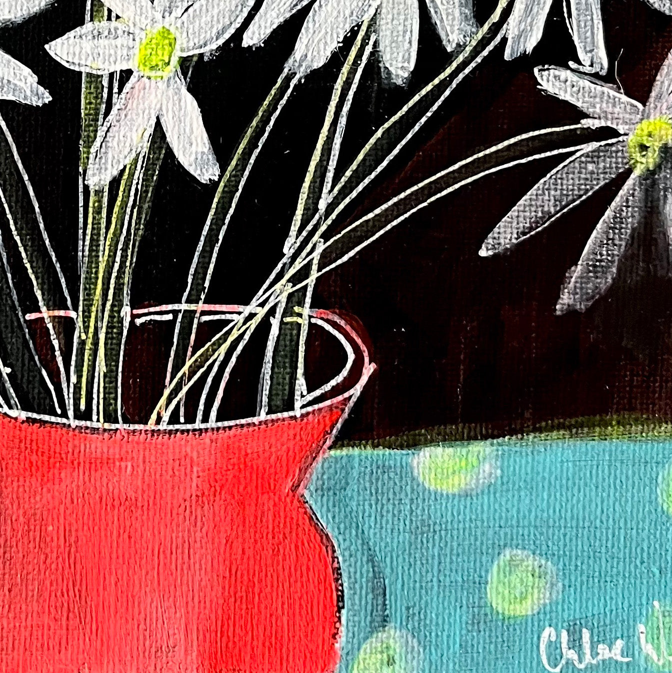 Daisies by Chloe Galkin