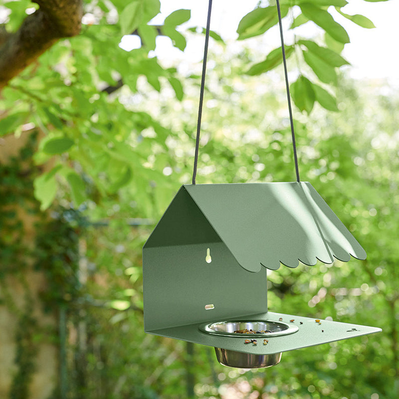 Bird Feeder