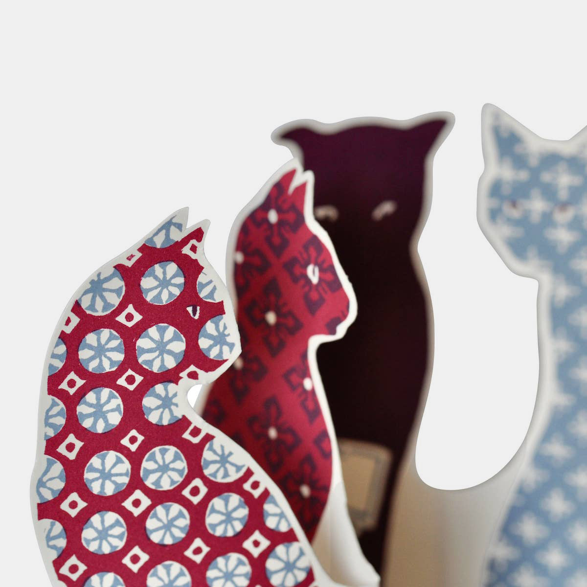 Special Card: Calico Cats