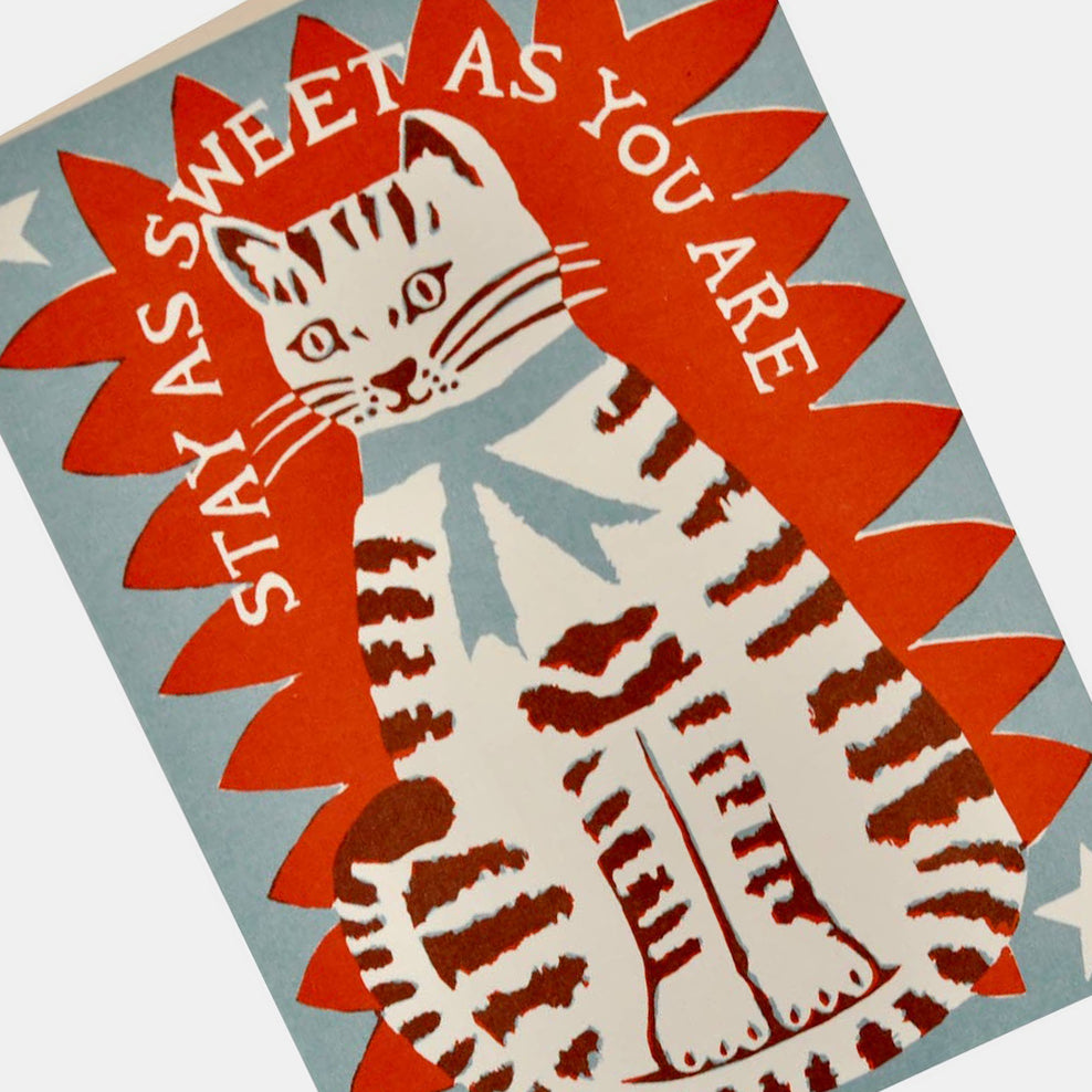 Large Card: Sweet Cat