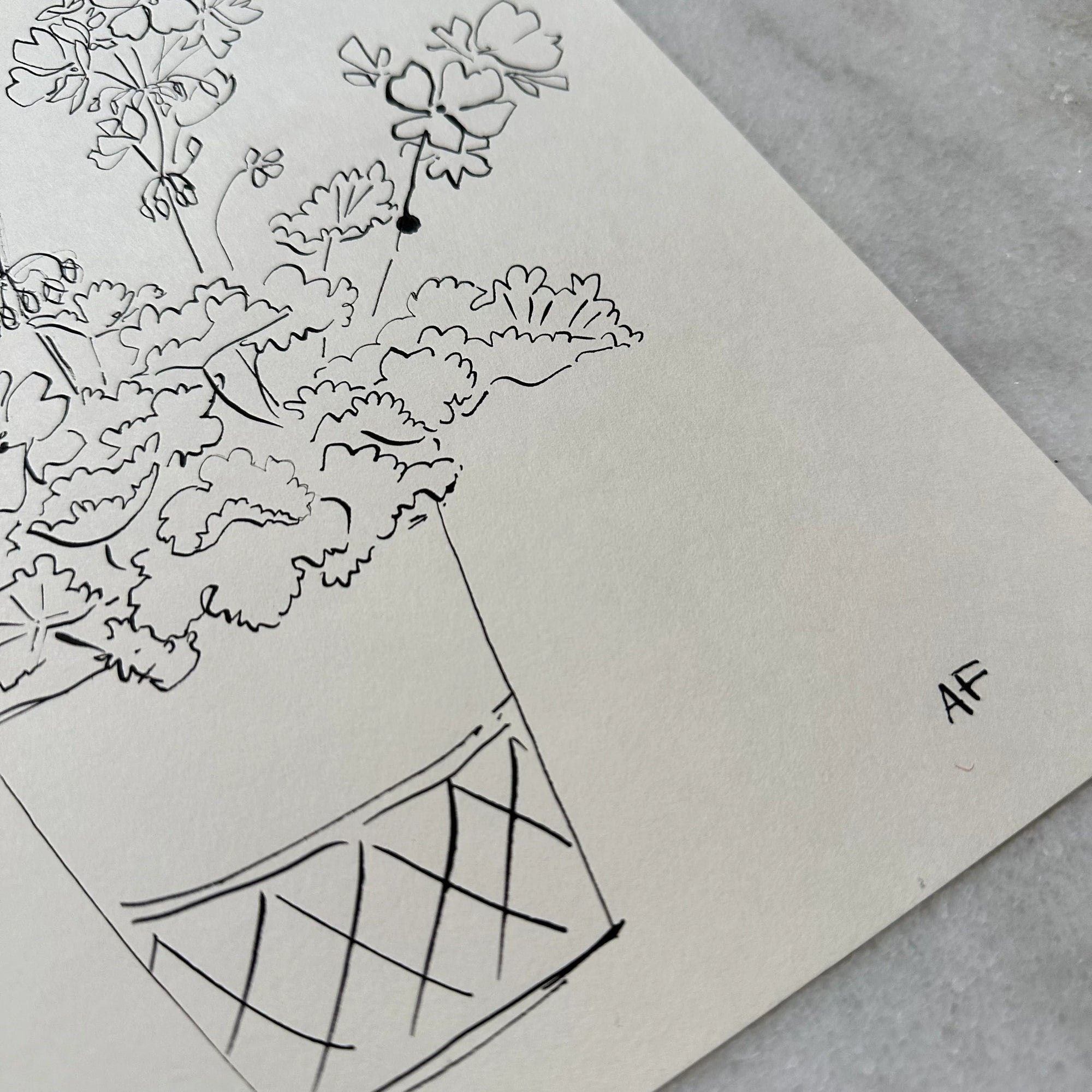 India Ink Potted Geraniums by Aislinn Forbes