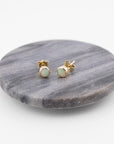Rainbow Moonstone Studs