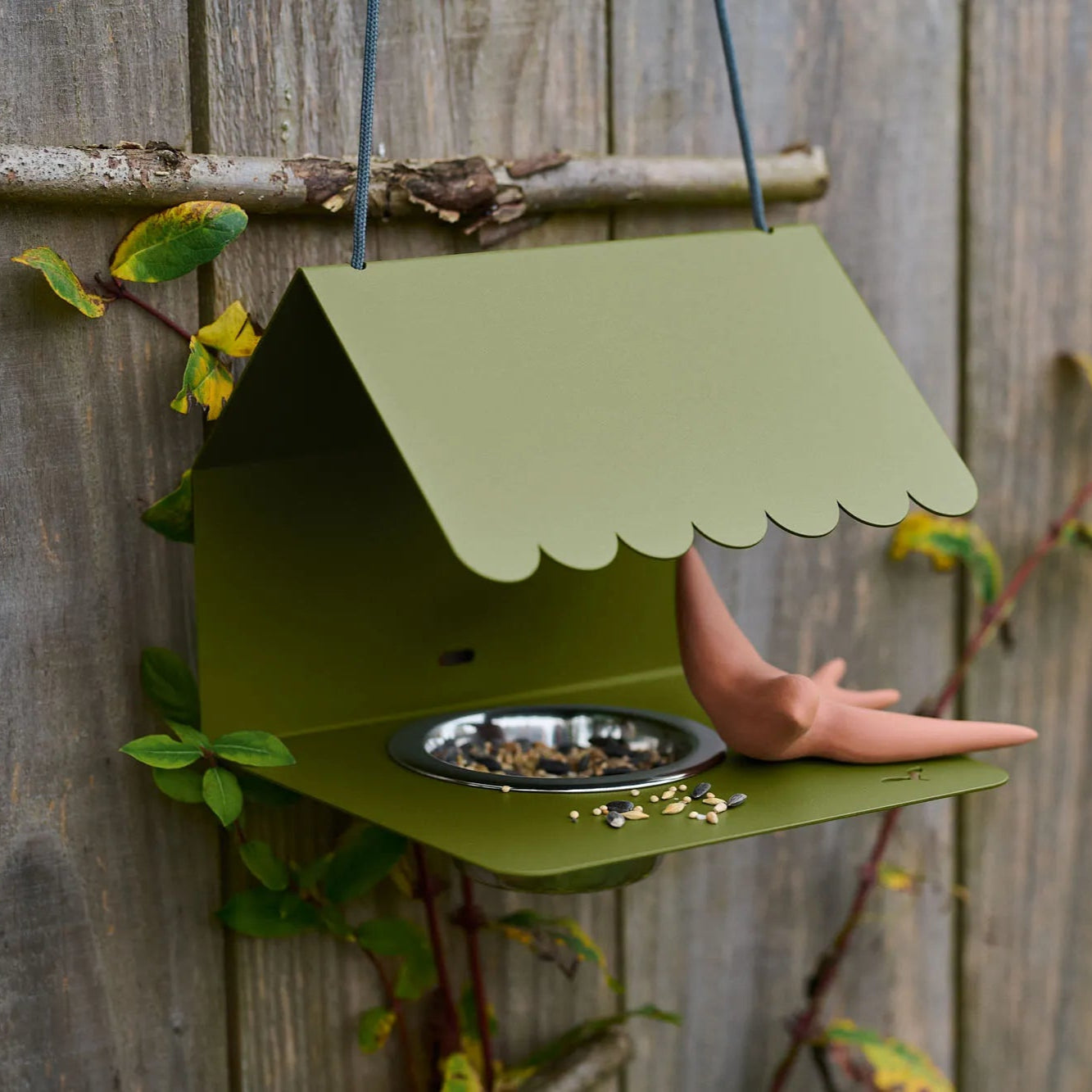 Bird Feeder