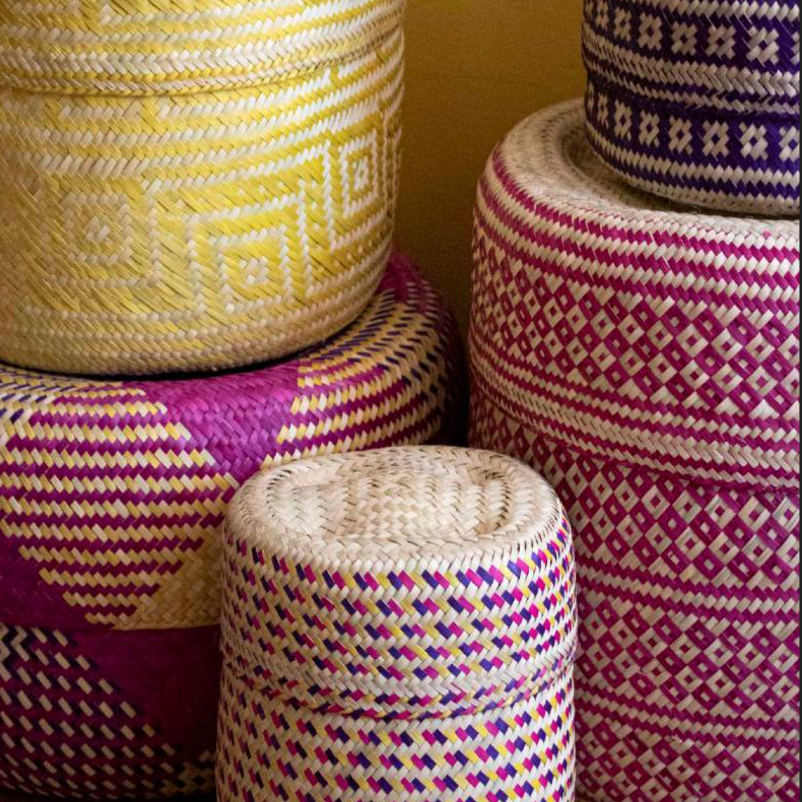 Sunset Lidded Basket in Medium