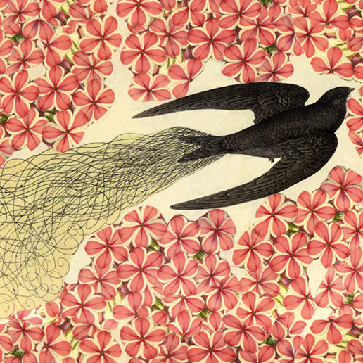 Swift Placemat