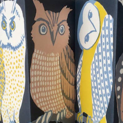 Special Card: Wise Old Birds