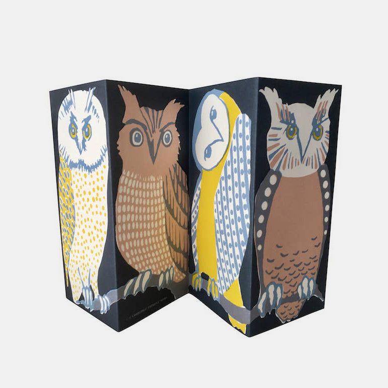 Special Card: Wise Old Birds