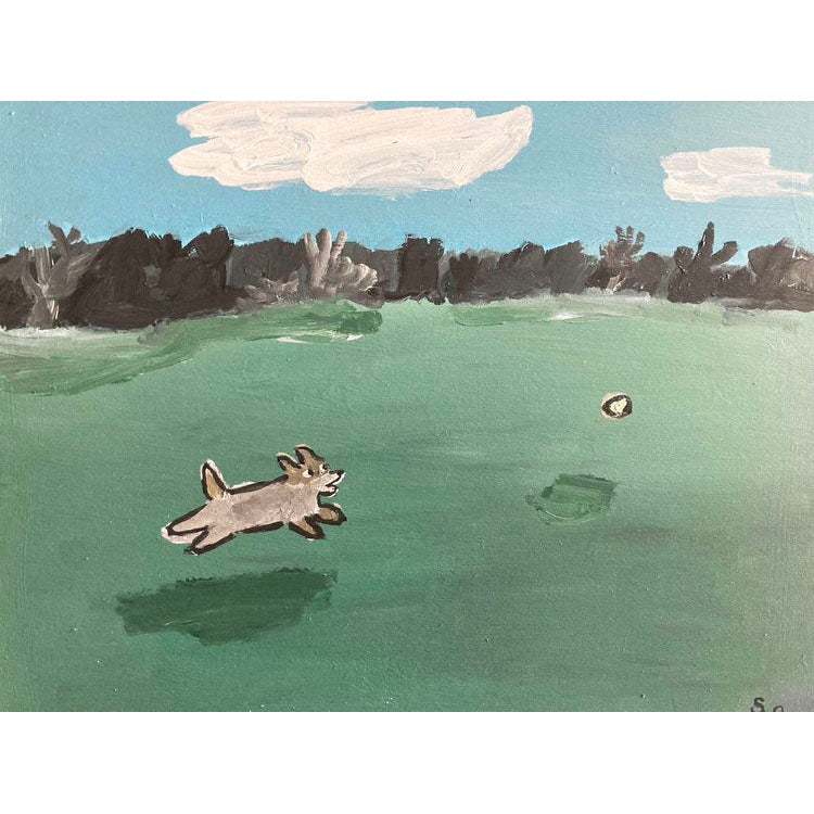 Dog in Field