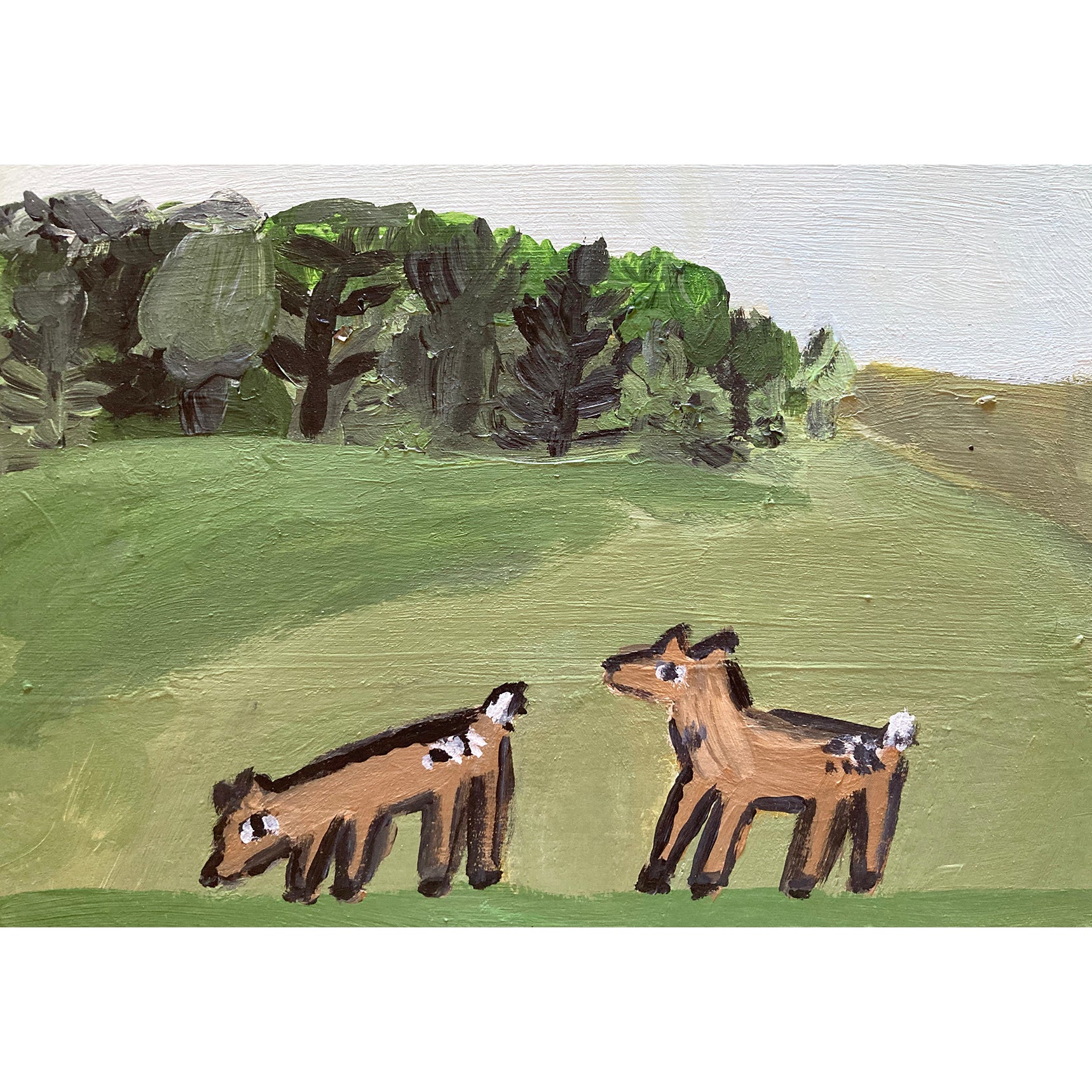 Field by Steph Becker