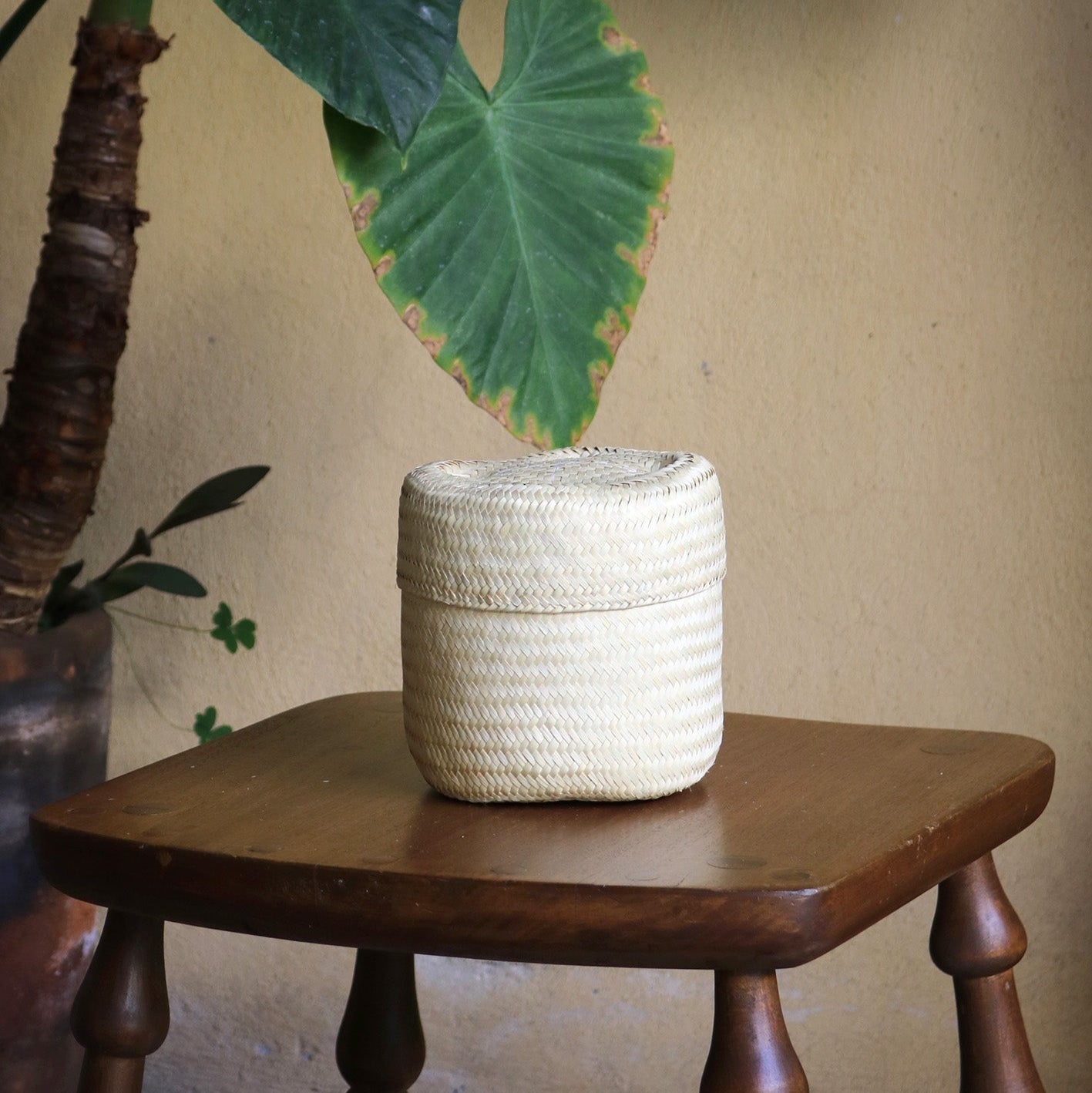 Lidded Basket in Mini Natural