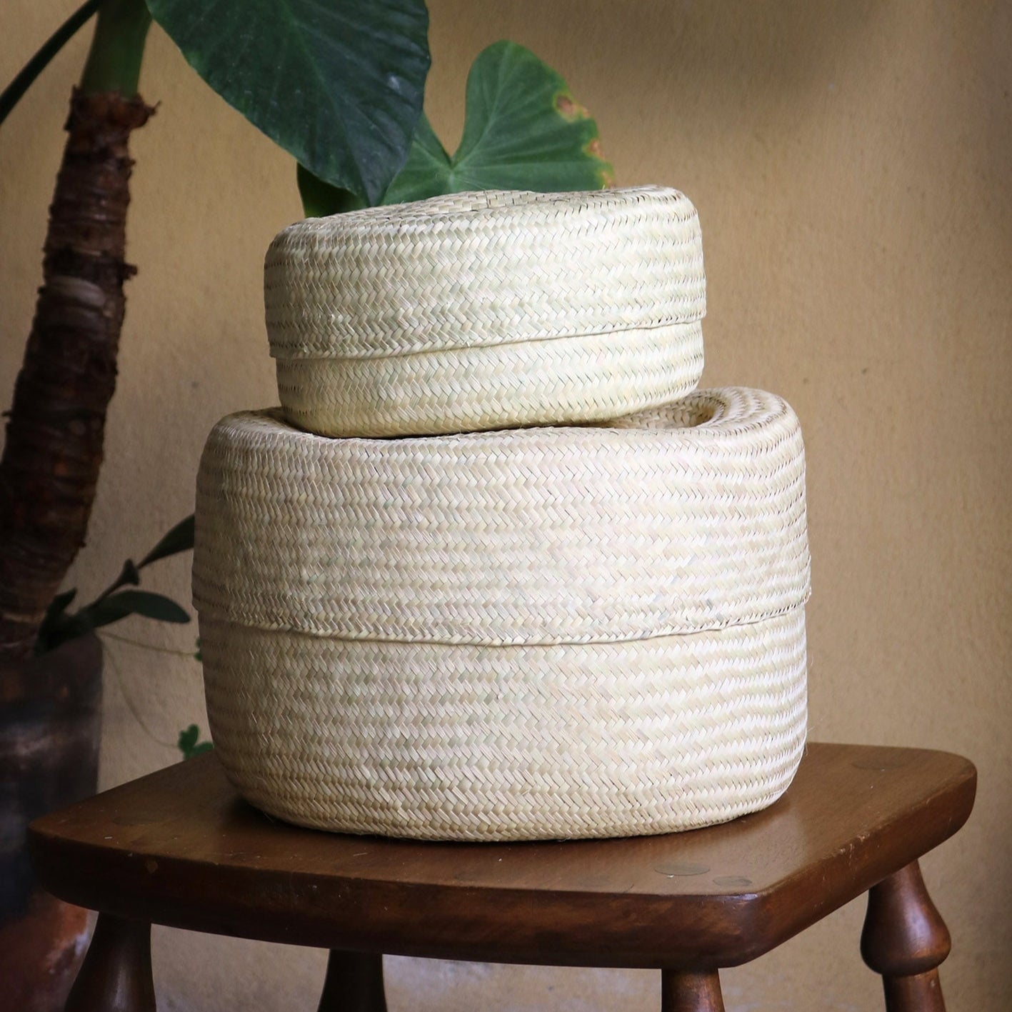 Natural Lidded Basket in Large Wide