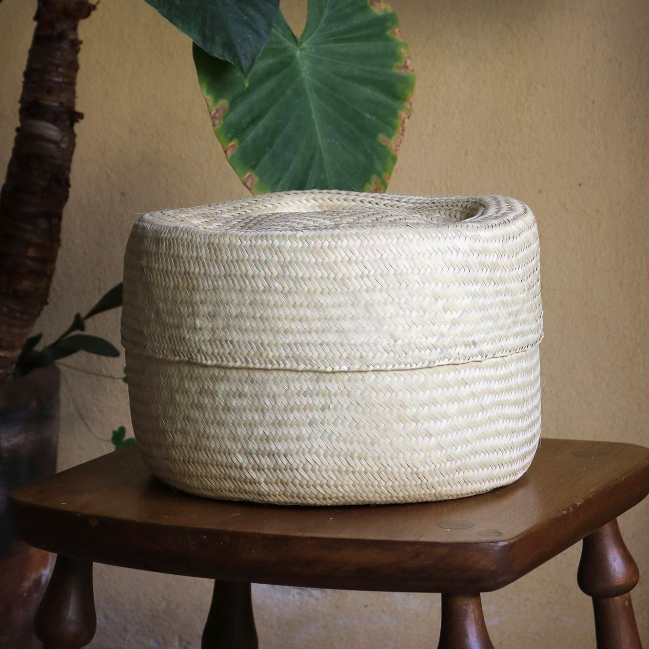 Natural Lidded Basket in Large Wide