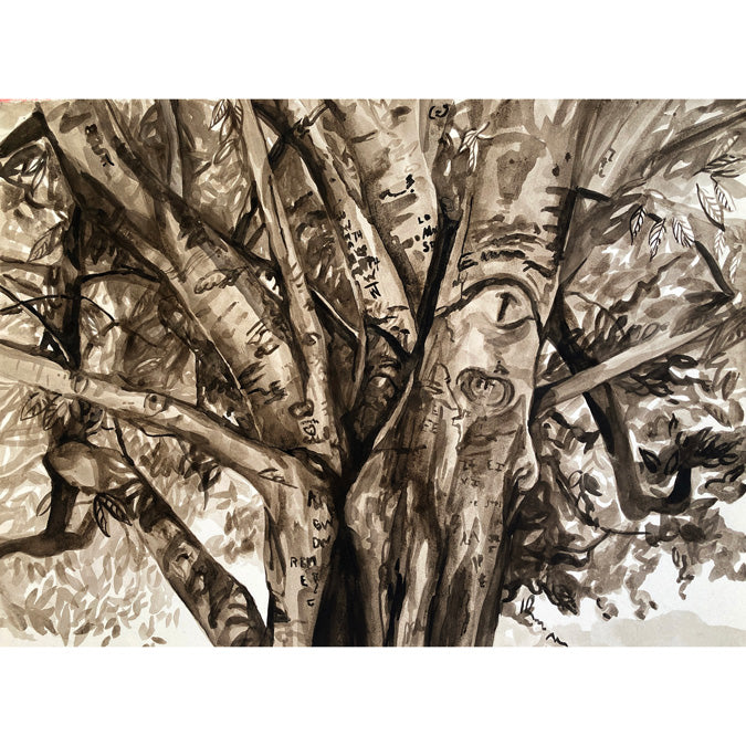 Tree of a Thousand Stories, American Beech, Kentucky by Emily Church
