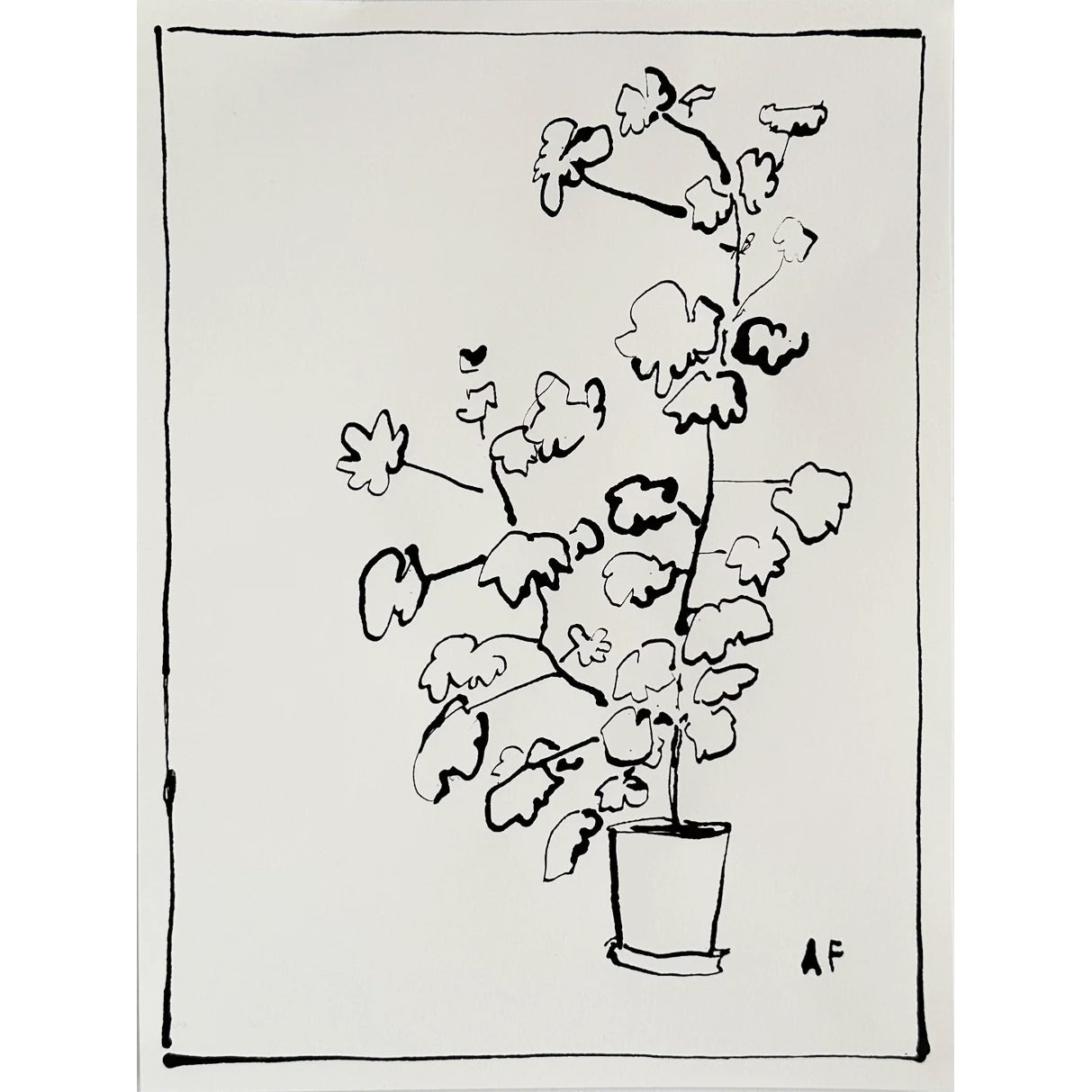 Potted Geranium i by Aislinn Forbes