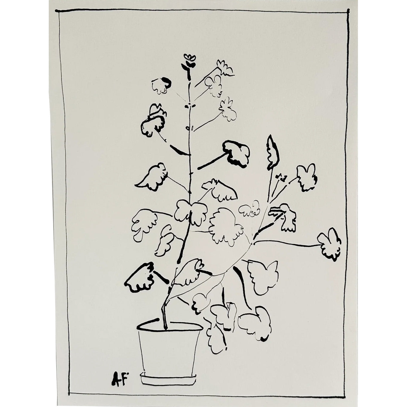 Potted Geranium ii by Aislinn Forbes