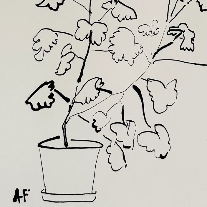 Potted Geranium ii by Aislinn Forbes