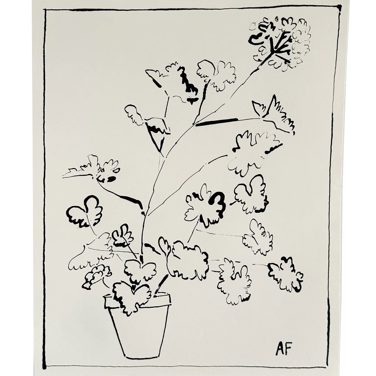 Potted Geranium iii by Aislinn Forbes