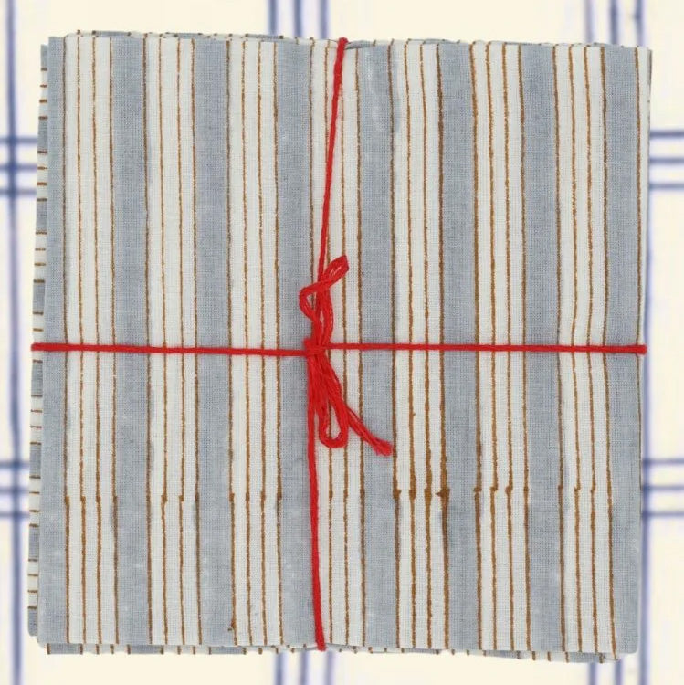Salem Arctic Napkins: Set of 4