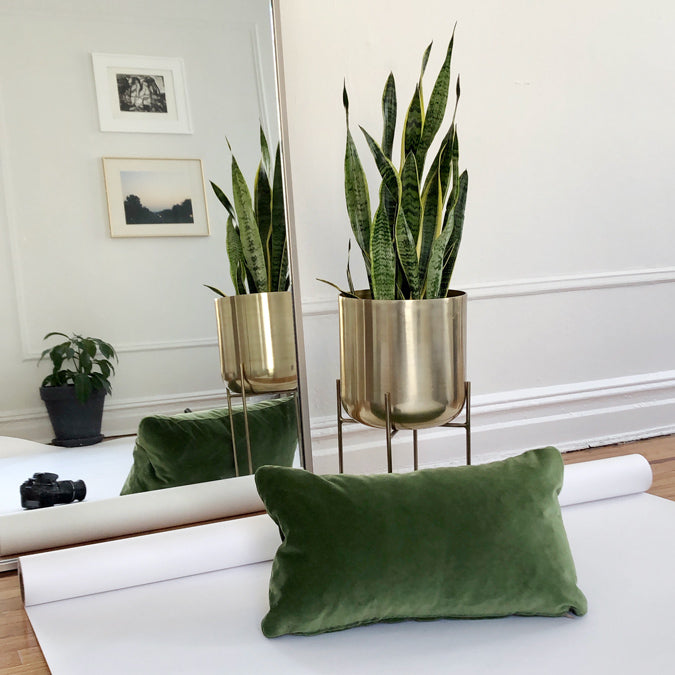Winthrop Clover Velvet Lumbar Pillow