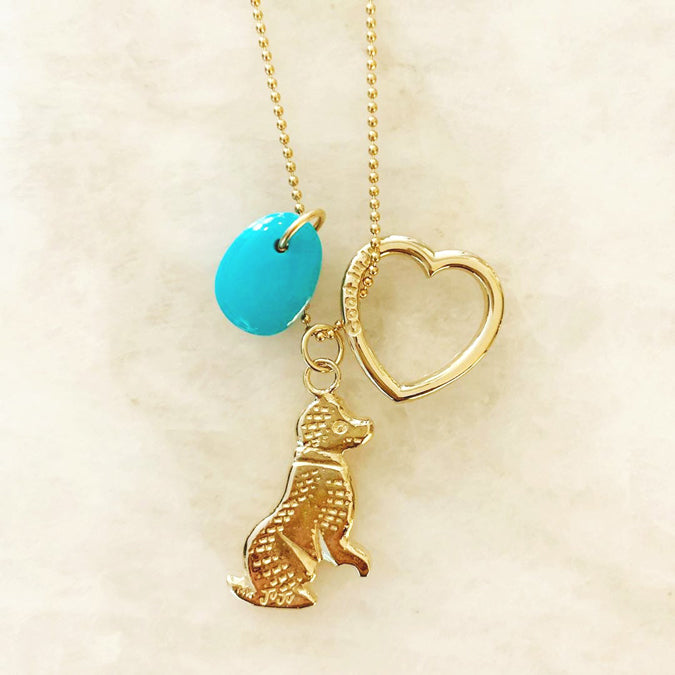 Juju Charm in Dog