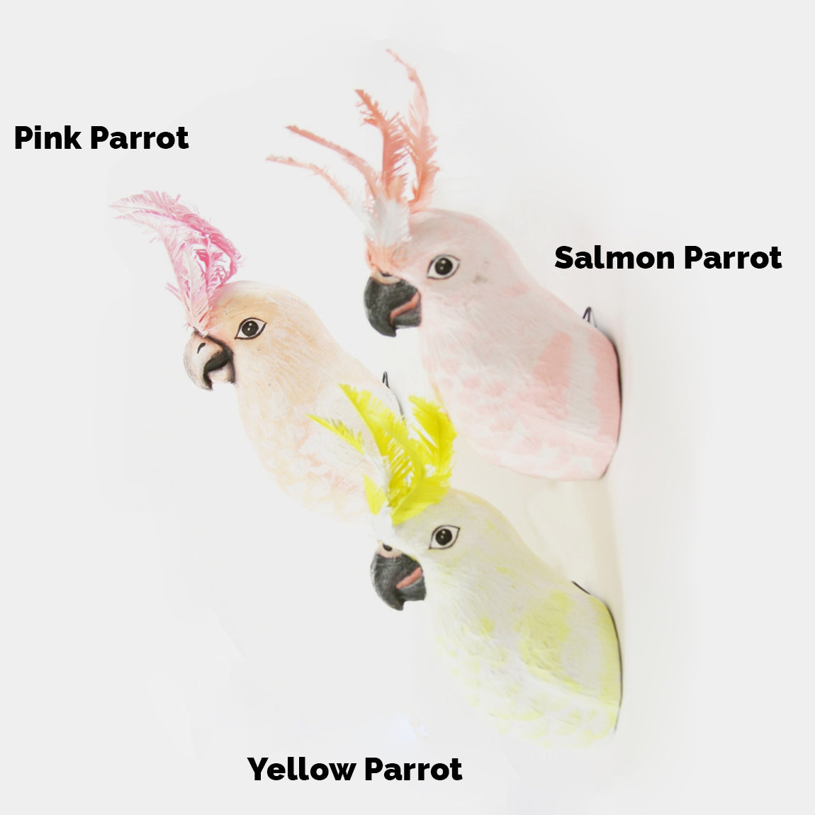 Parrot Bird Wall Mount