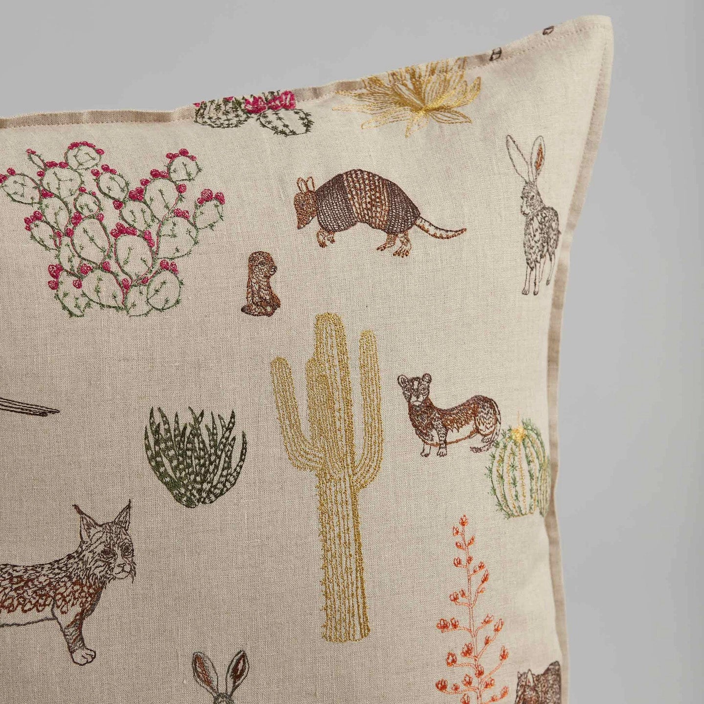 Saguaro Desert Friends Square Pillow