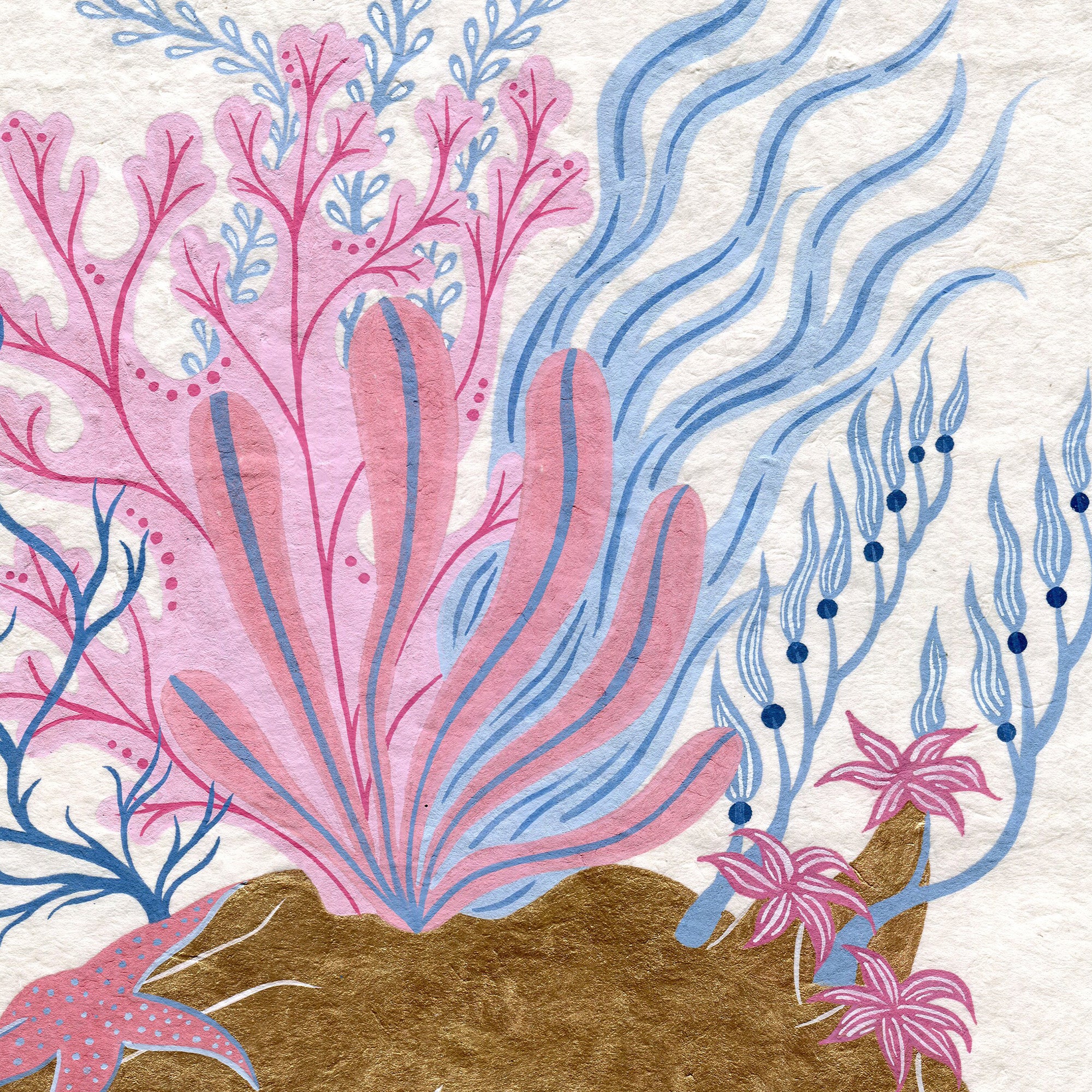Octopus Garden by Elena Megalos