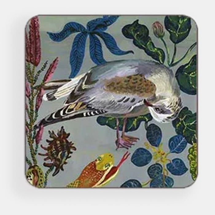 Caspian Plover Coaster