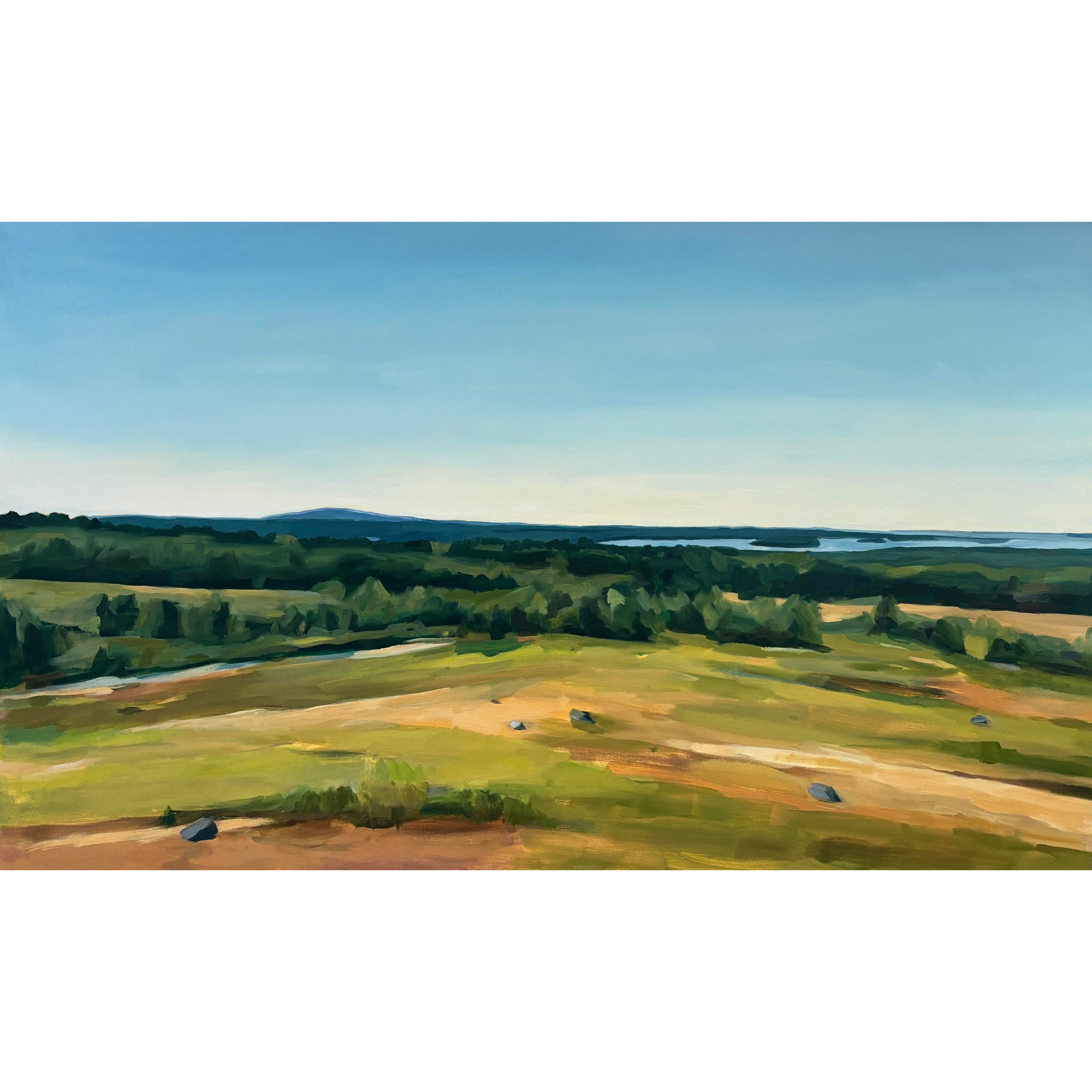 Caterpillar Hill, August by Claire Cushman