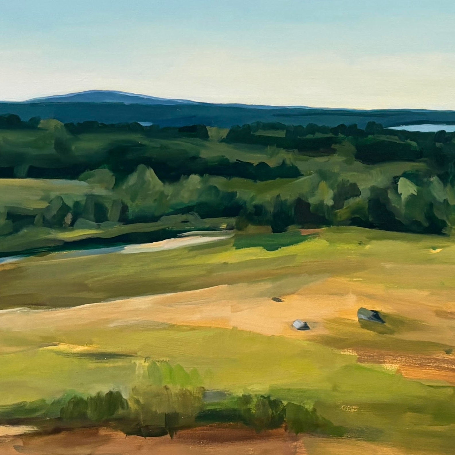 Caterpillar Hill, August by Claire Cushman