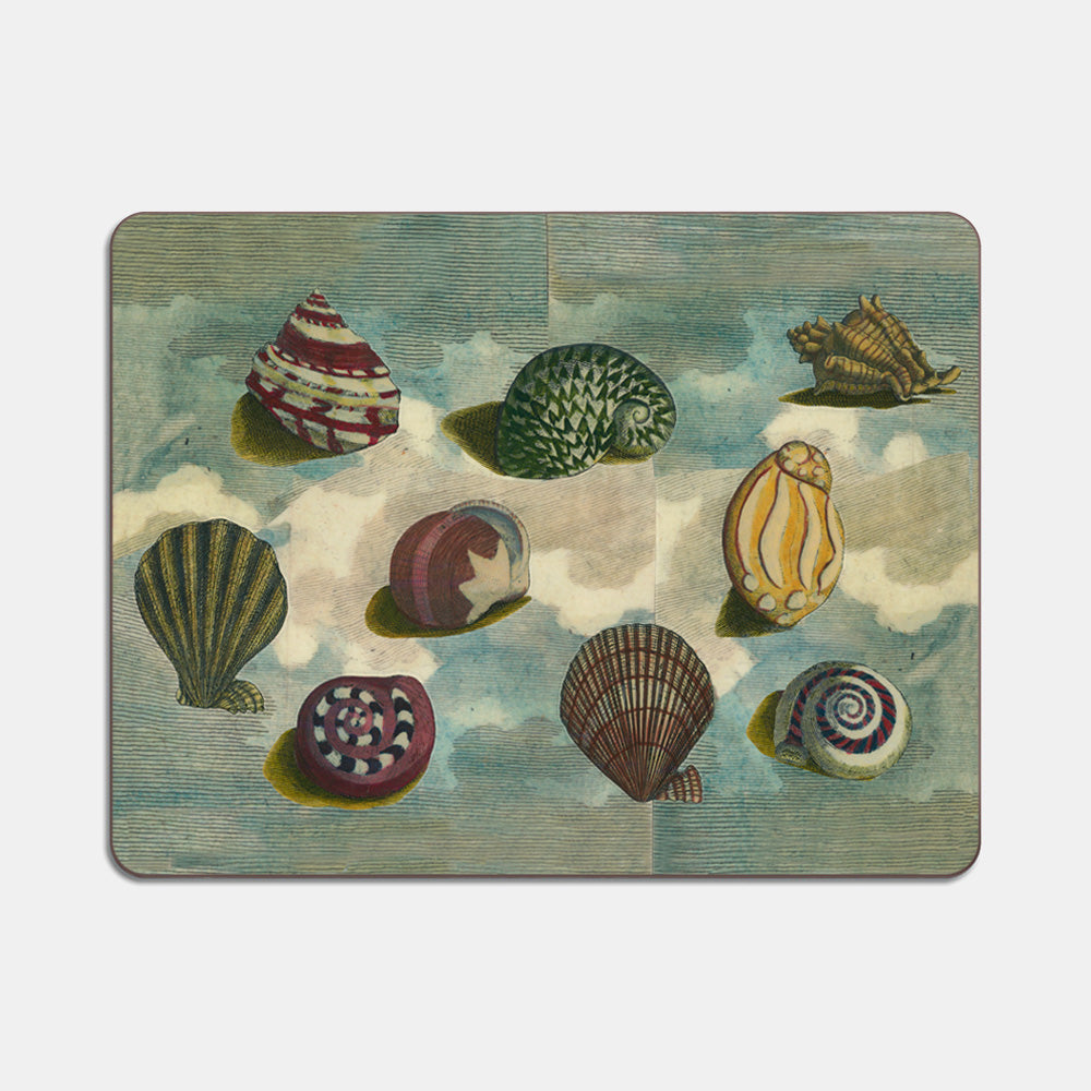 Shell Sky Placemat by Avenida Home – Collyer's Mansion