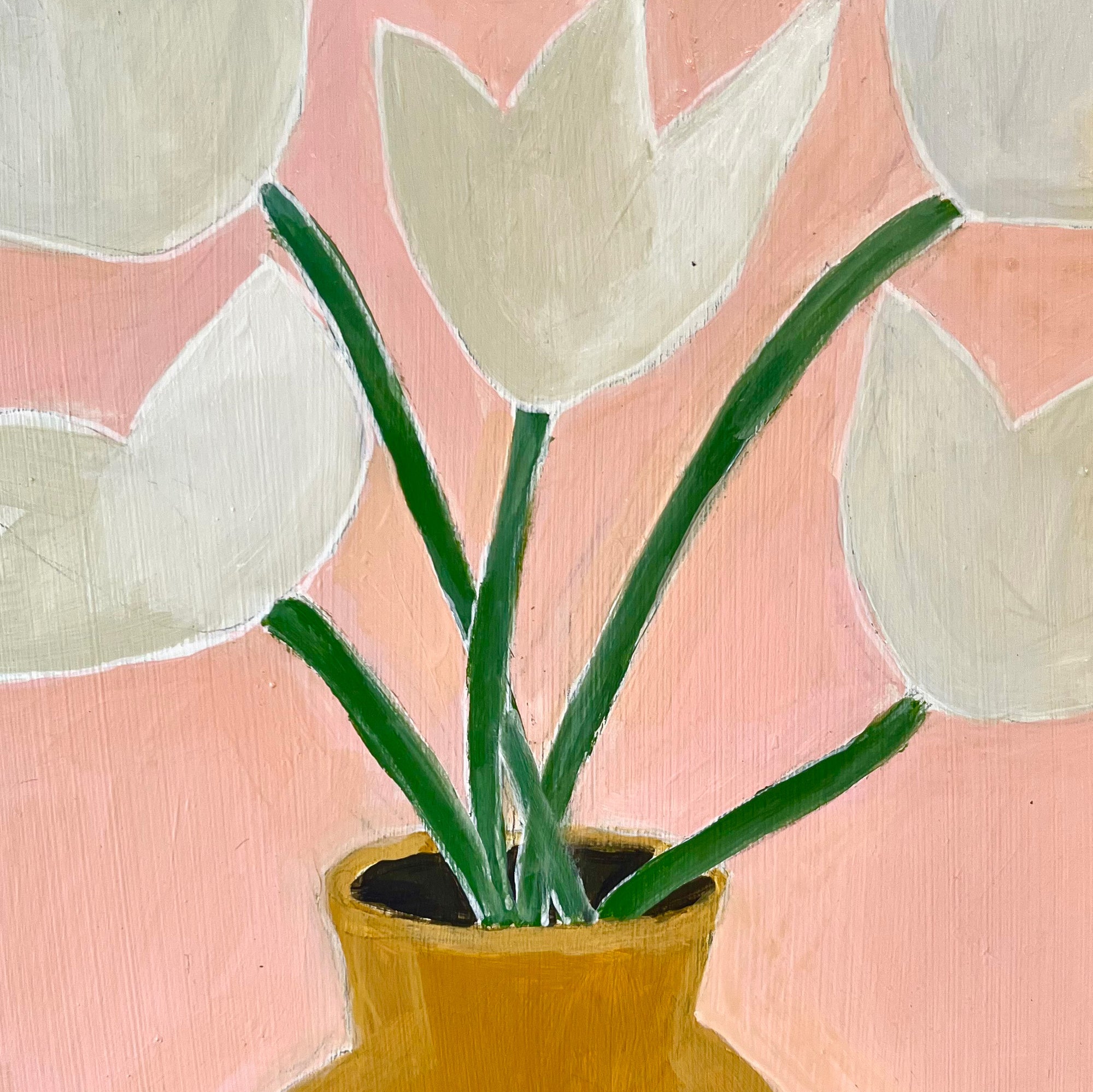 Tulips by Chloe Galkin