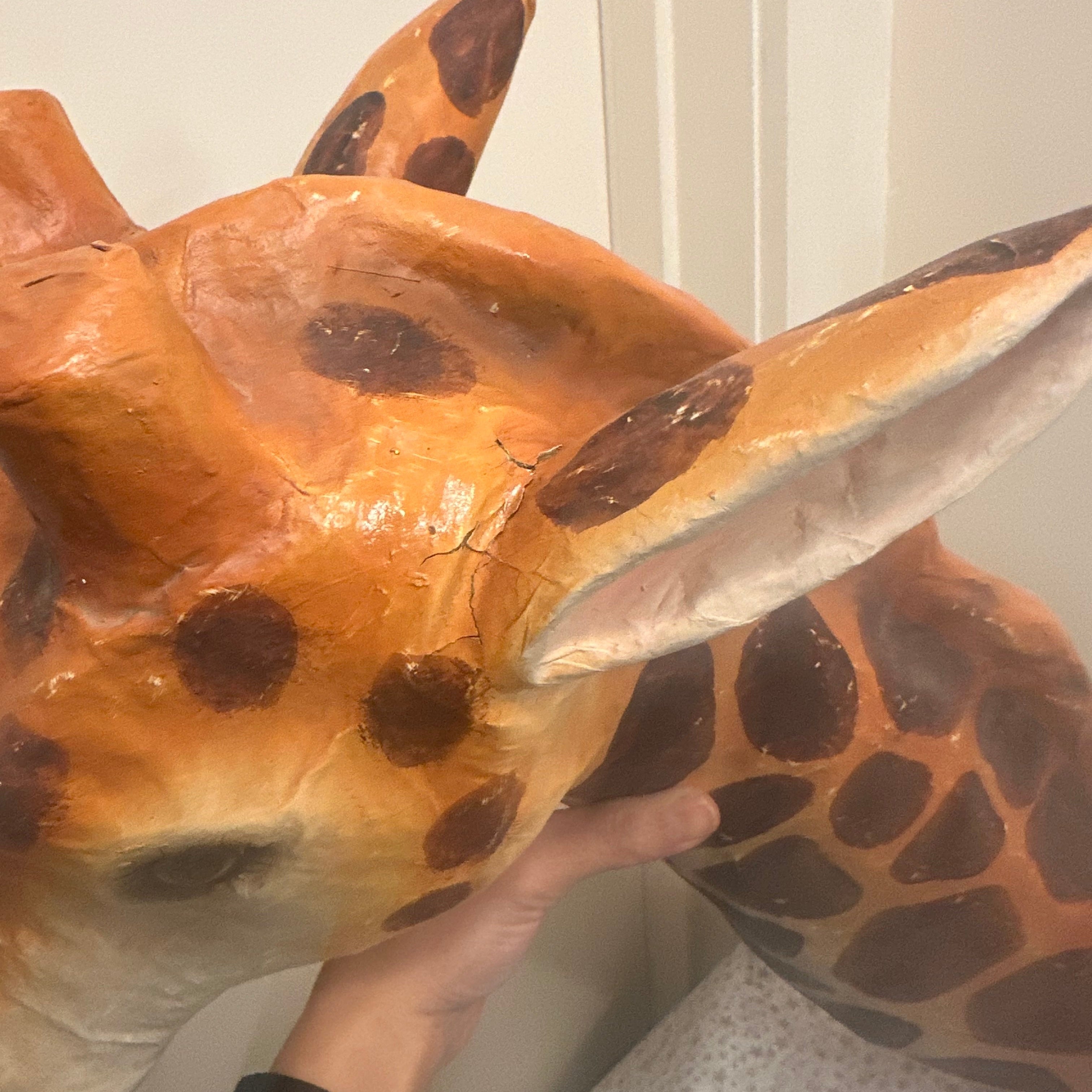 Giraffe Wall Mount by Cody Foster – Collyer's Mansion