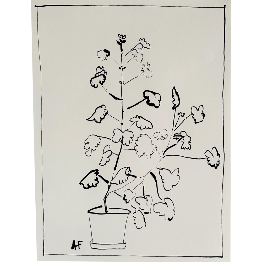 Potted Geranium ii by Aislinn Forbes