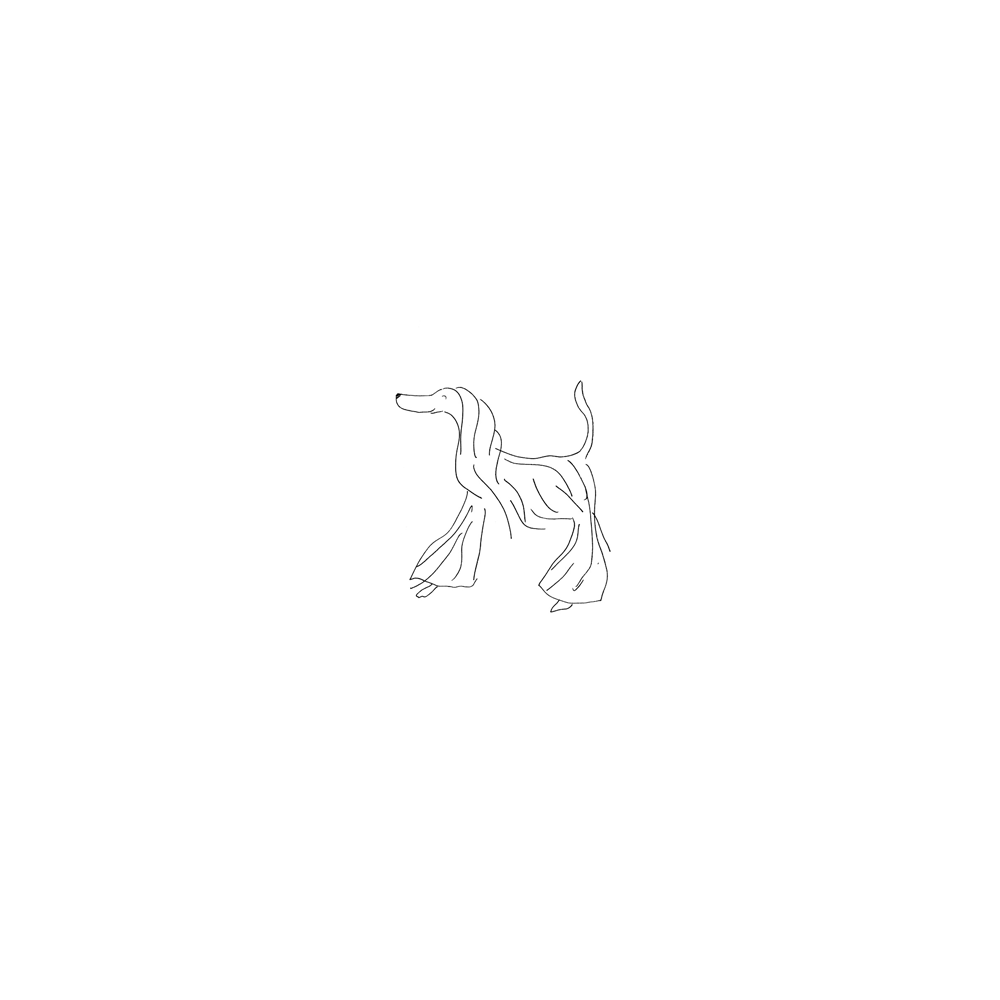 Afghan Hound Print