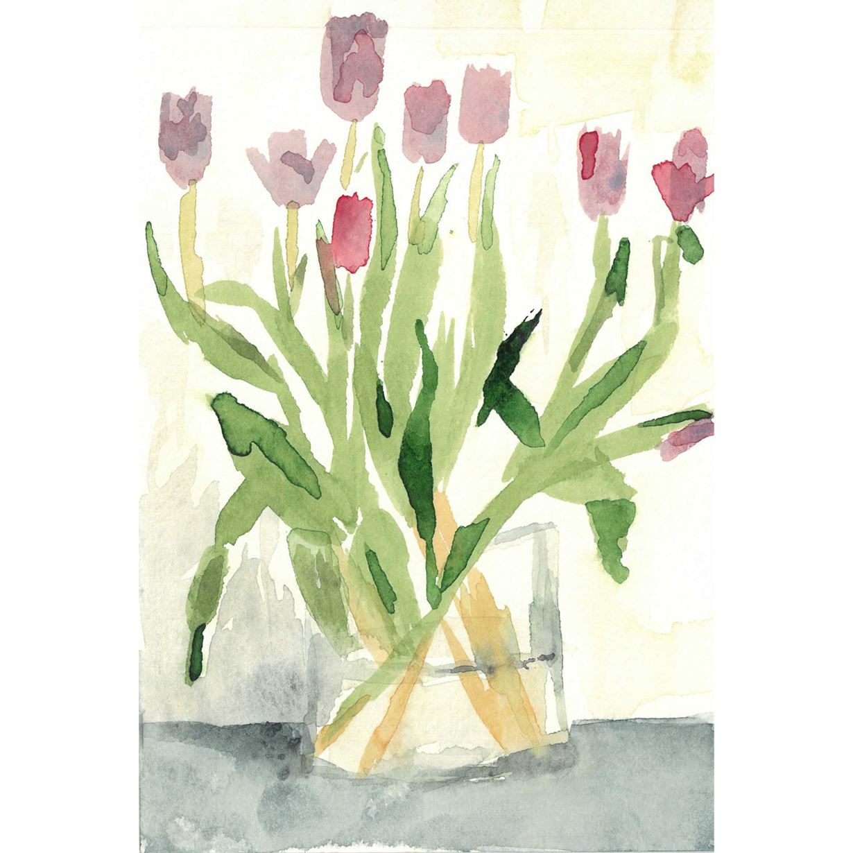 Tulips by Andrea Dibben