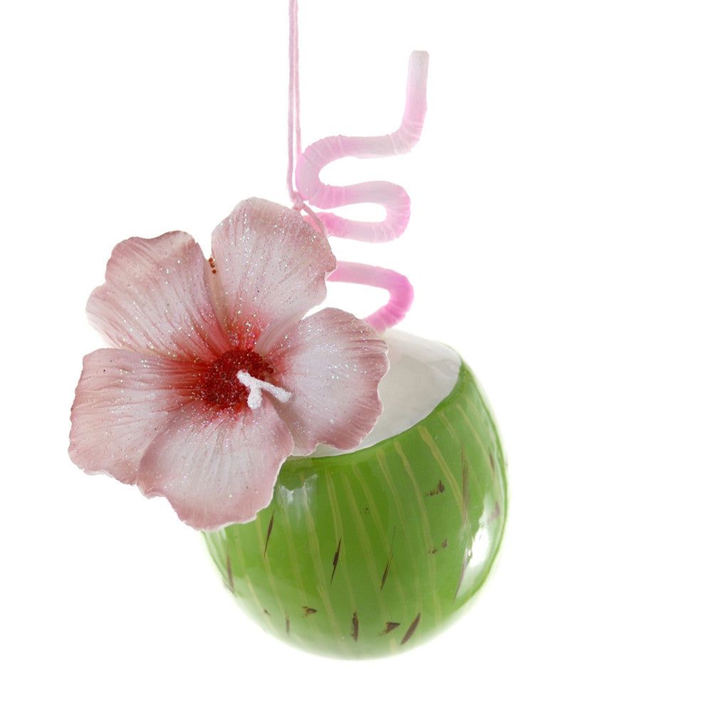 Tropical Coconut Water Ornament