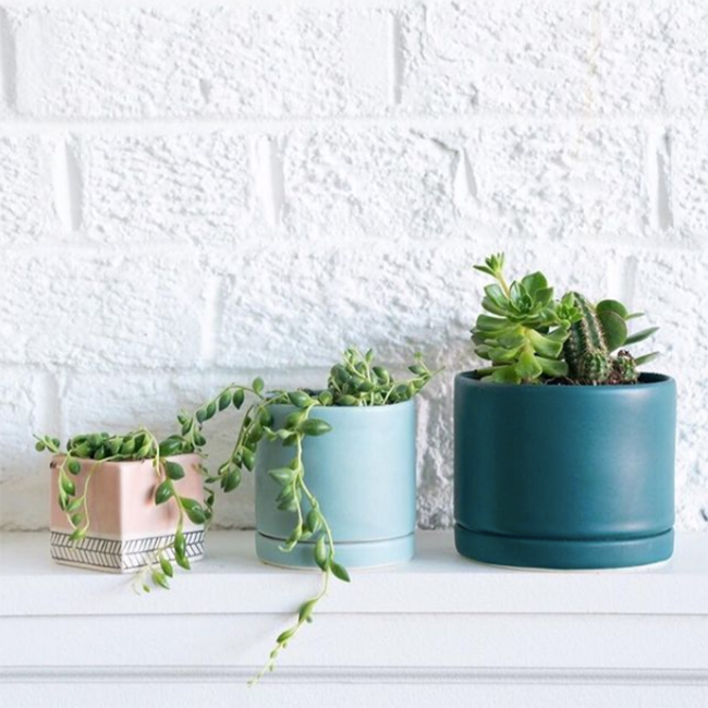 Mariner Green Tabletop Planter