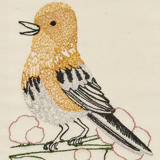 Yellow Warbler Card