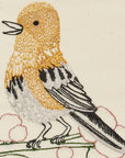 Yellow Warbler Card