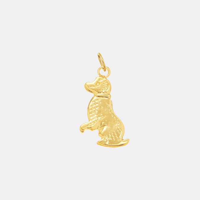 Juju Charm, dog