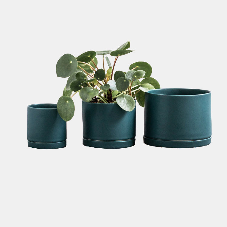 Mariner Green Tabletop Planter